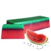 Watermelon Tropical Paradise Handmade Soap Loaf